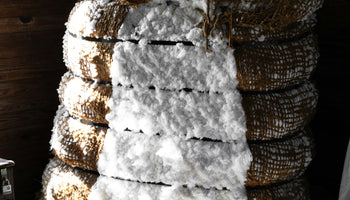 Responsible Sourcing Strategies for Fashion Brands Tackling Tier 2+ Traceability