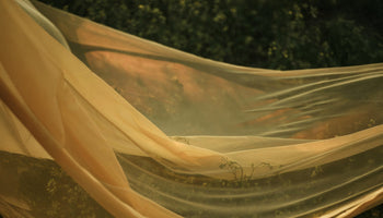 eco score fashion
