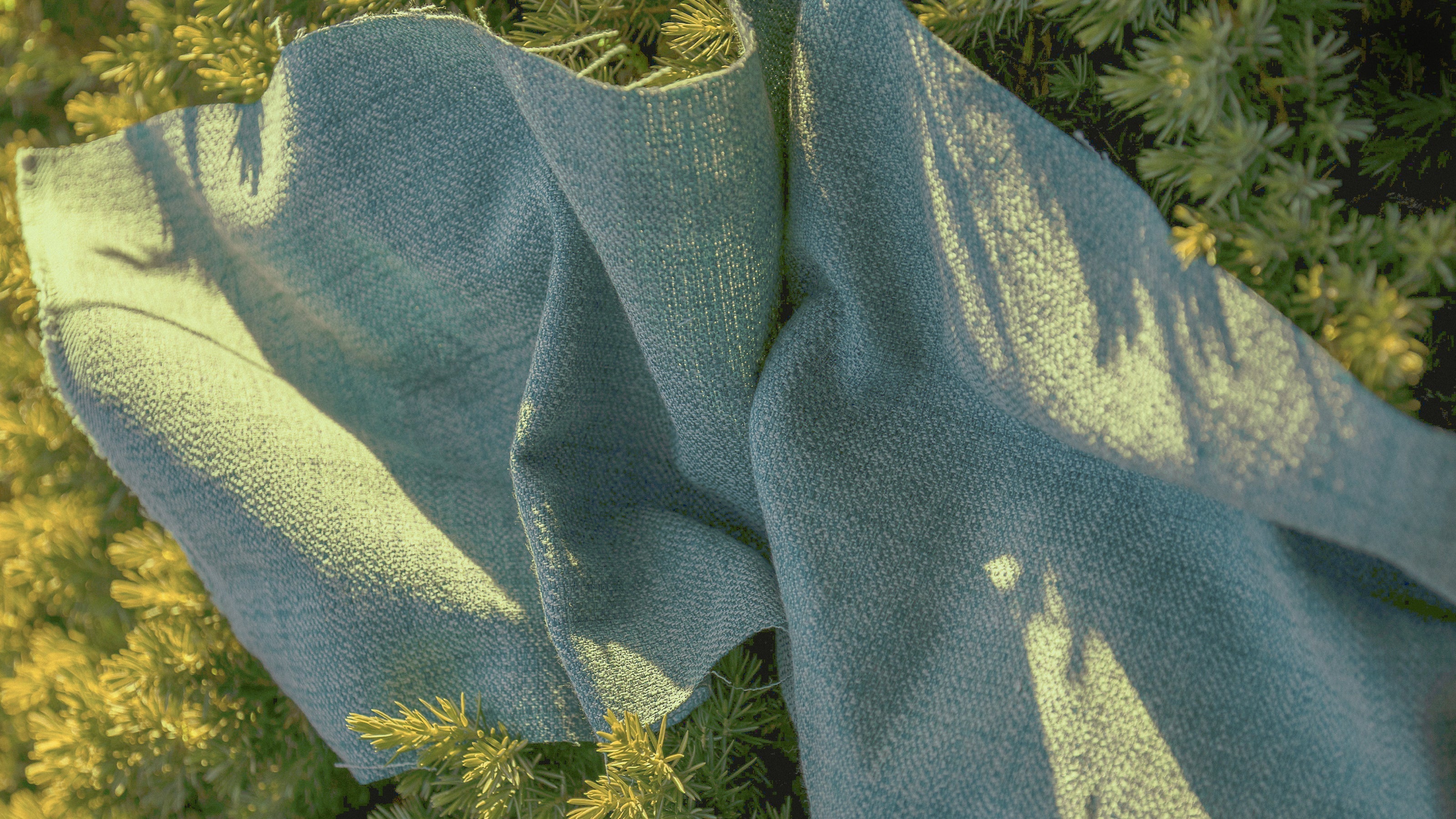 eu omnibus and fashion