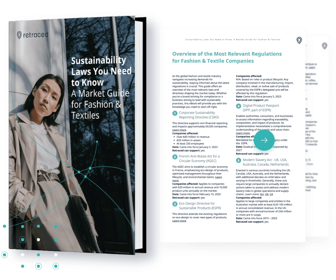 Sustainability Laws - Ebook