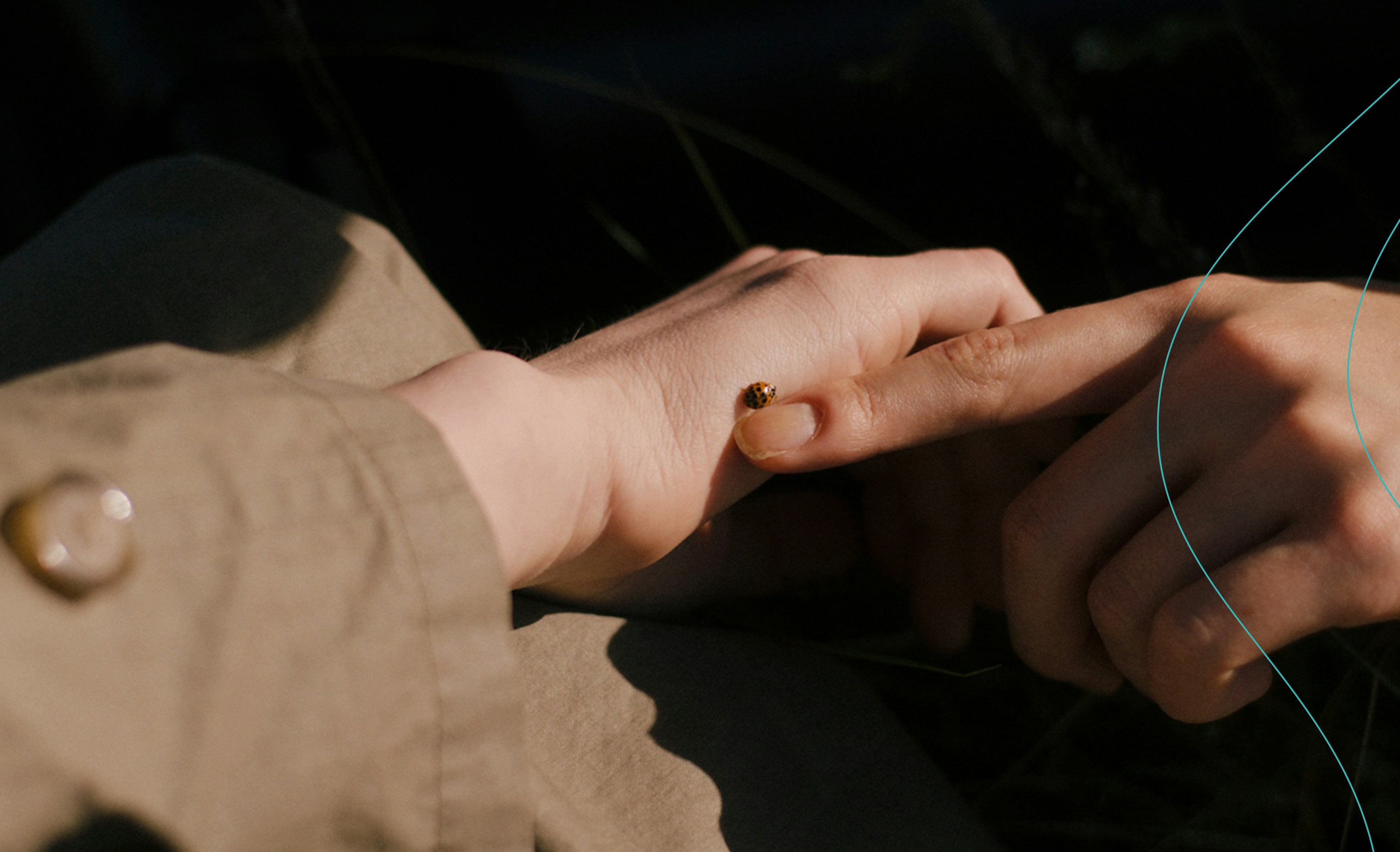 Two hands gently holding a ladybug, symbolizing care and sustainability in the AAFA webinar replay
