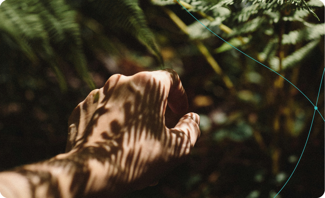 Transparency & traceability fashion guide - retraced