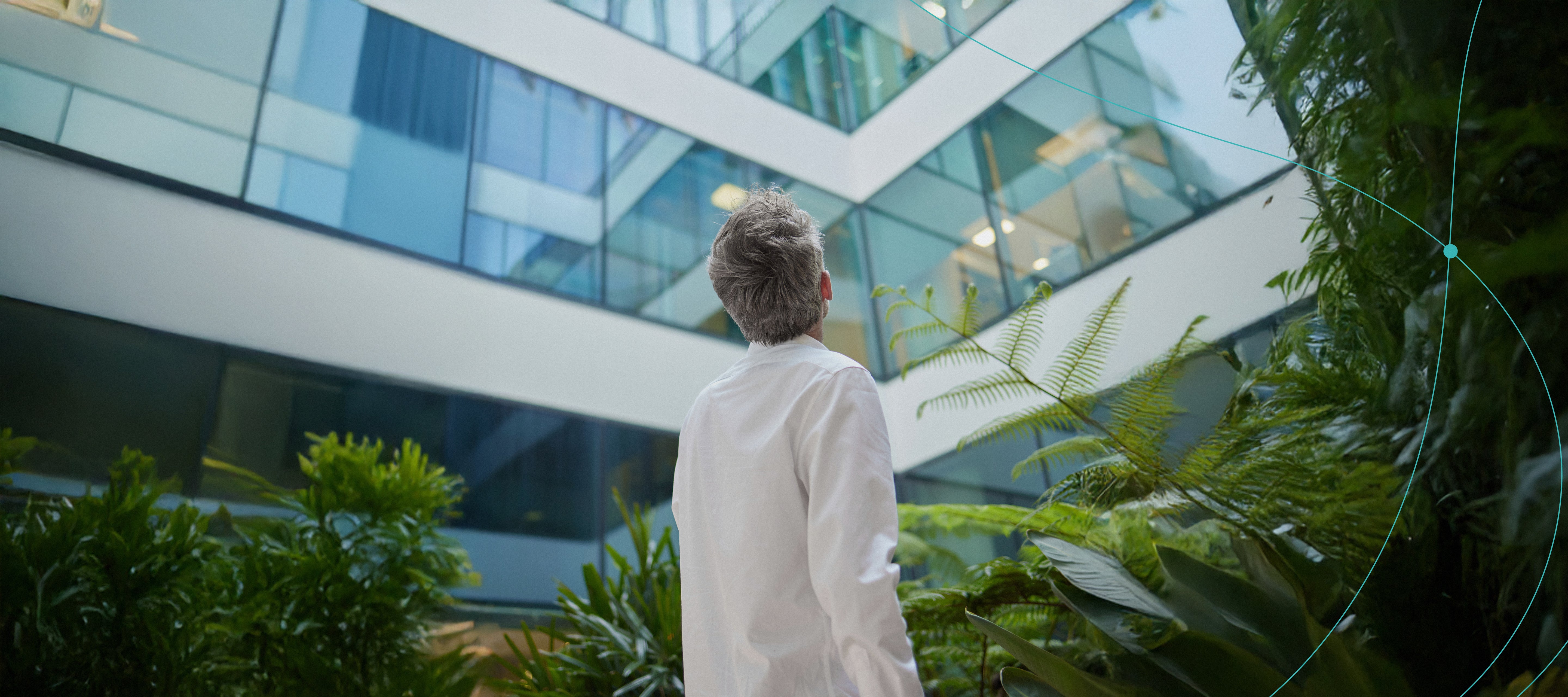 Man seen from behind looking up at a modern building facade