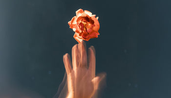 Why the Future of Supply Chain Transparency Is Built on Collaboration (and Why that’s Great)