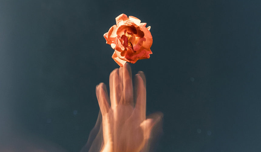 Why the Future of Supply Chain Transparency Is Built on Collaboration (and Why that’s Great)