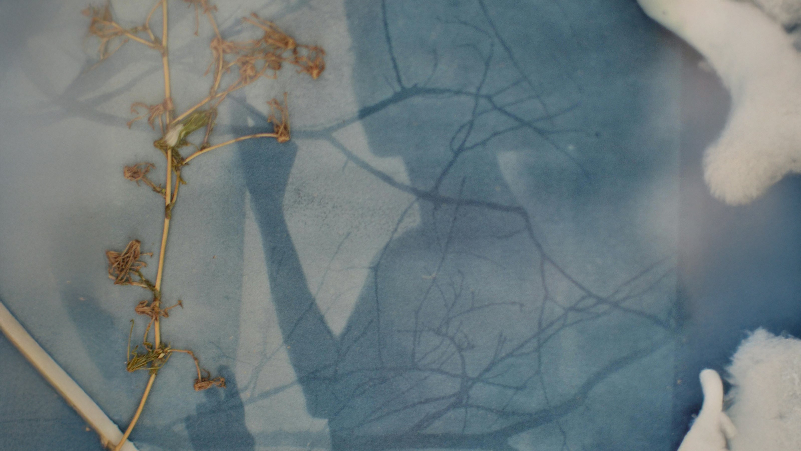 AI in Fashion: How Transparency Tools are Reshaping Multi‑Tier Visibility