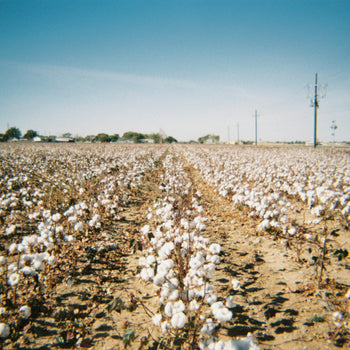What UFLPA Compliance Tells Us About Transparency in Fashion