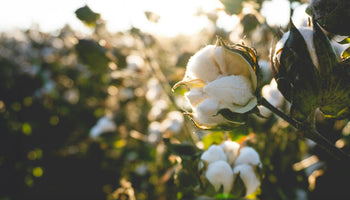 How Predictive Analytics in Supply Chain Powers Smarter Fashion Sourcing