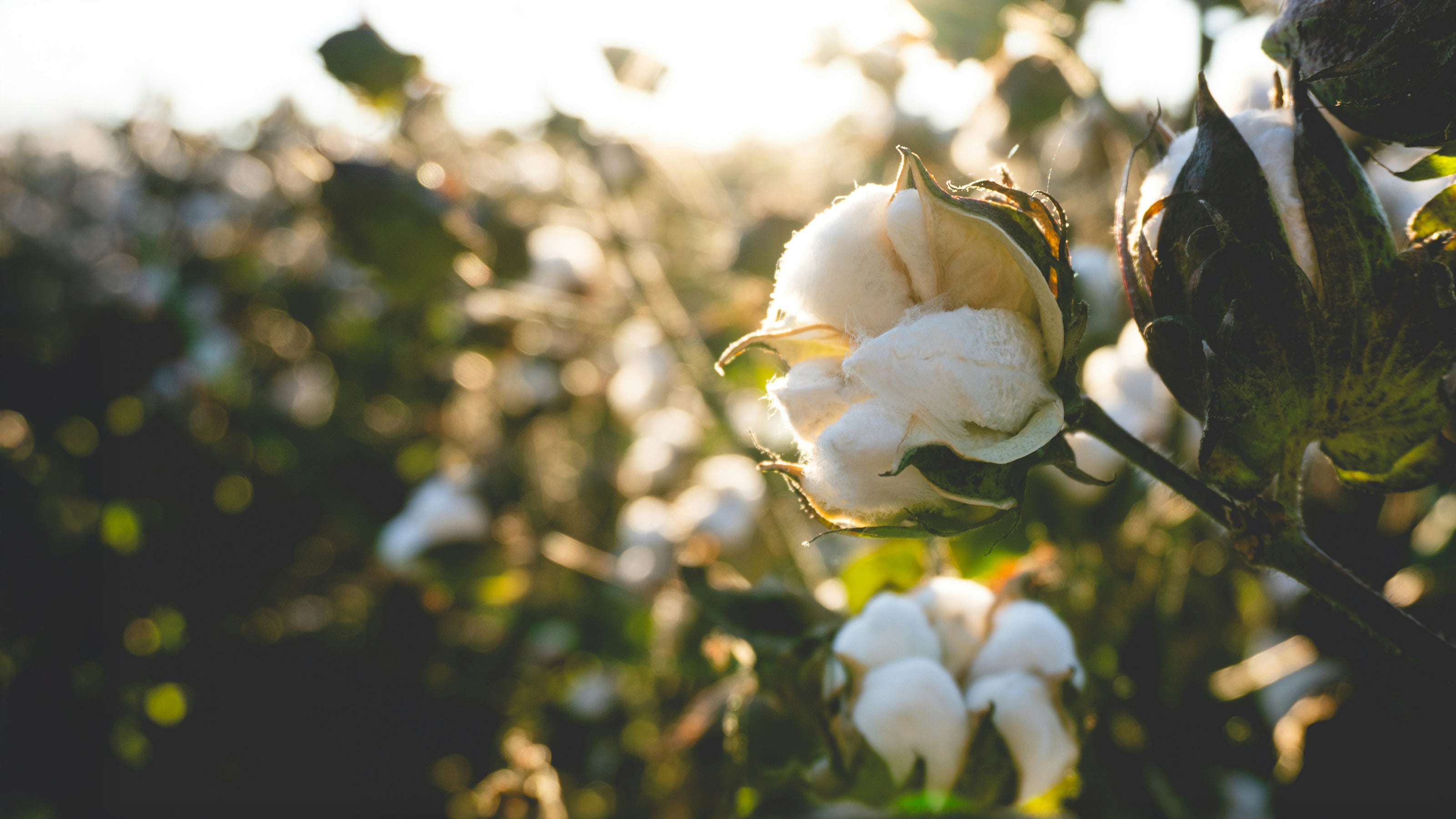 How Predictive Analytics in Supply Chain Powers Smarter Fashion Sourcing