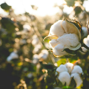 How Predictive Analytics in Supply Chain Powers Smarter Fashion Sourcing