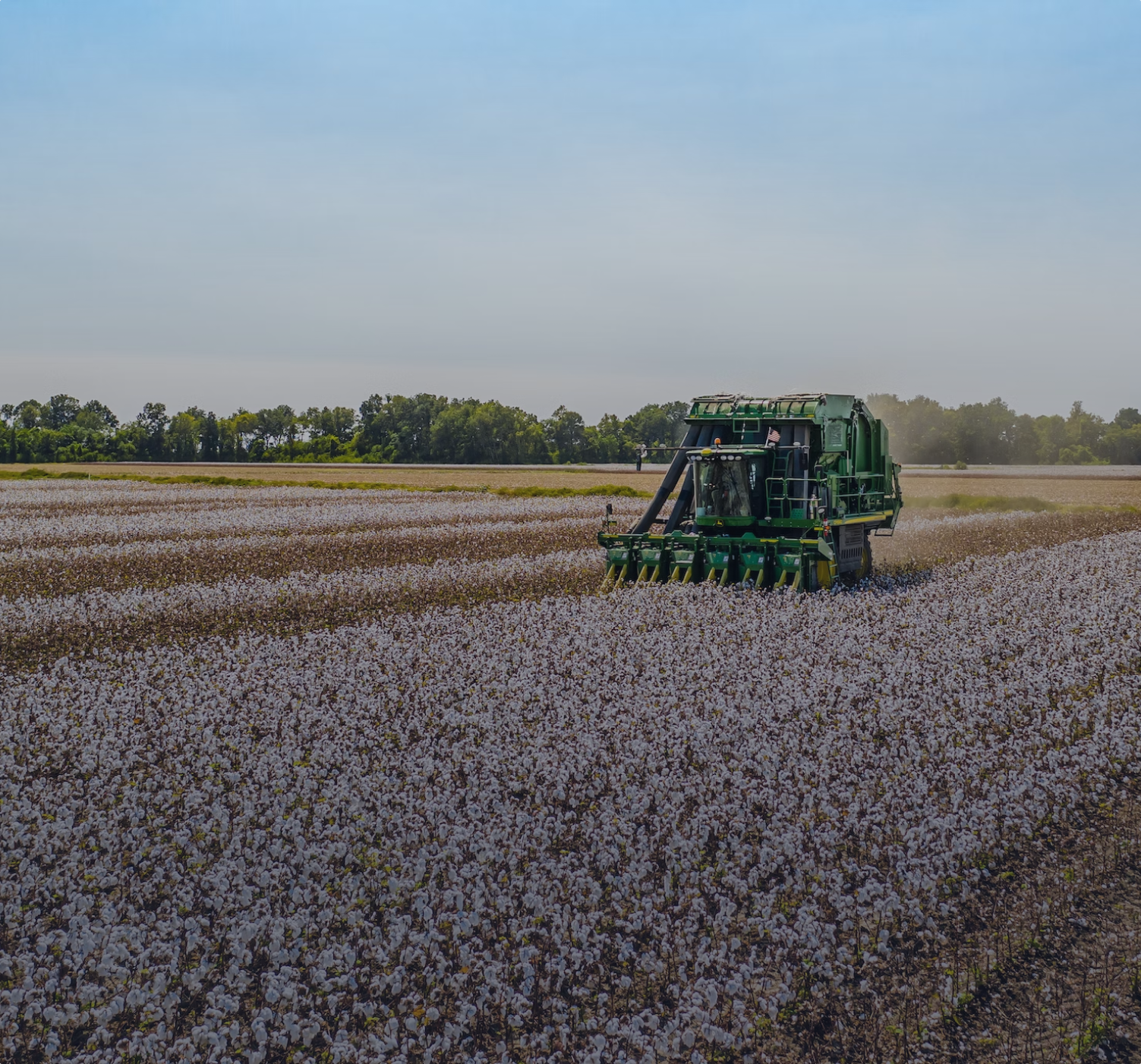 A cotton sorting machine runs through an ethically sourced cotton field.